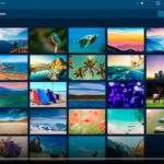 Photo Viewer For Win 10 and 11
