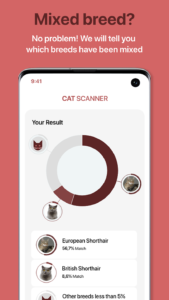 Cat Scanner: Breed Recognition 2