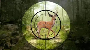 Jungle Deer Hunting Games 3D 1